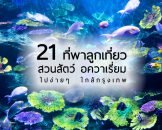 top-zoo-aquarium-near-bangkok