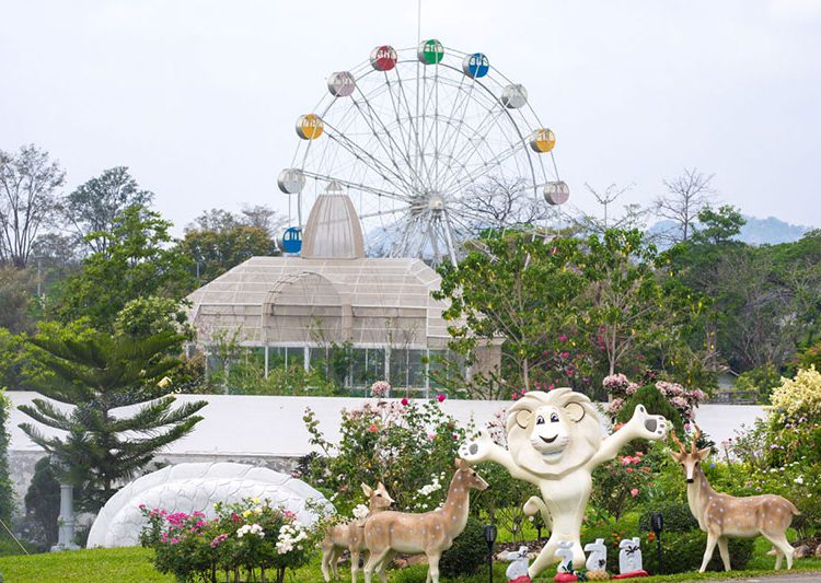 Wonderland Thailand สระบุรี แหล่งเที่ยวสวนสนุก สวนสัตว์ครบจบในแห่งเดียว |  Go Out ไปเที่ยวกันเถอะ