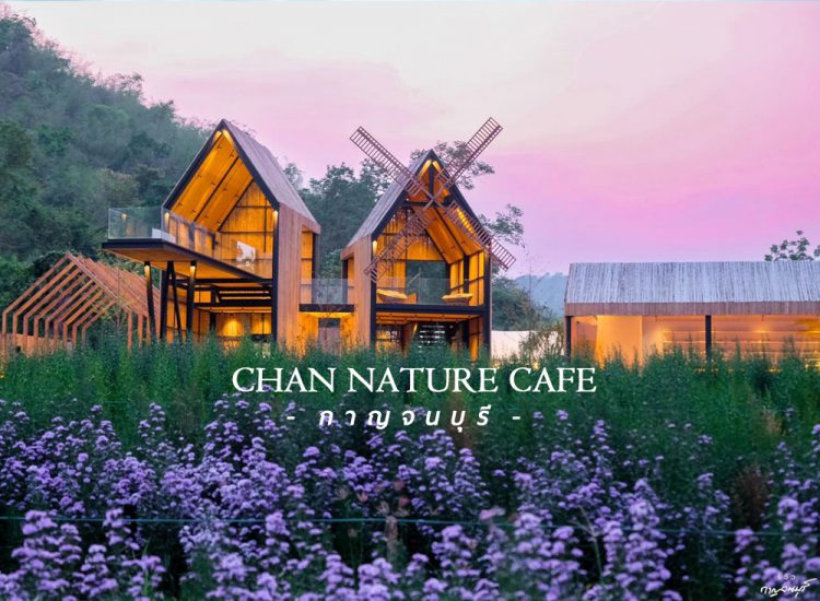 CHAN nature cafe'