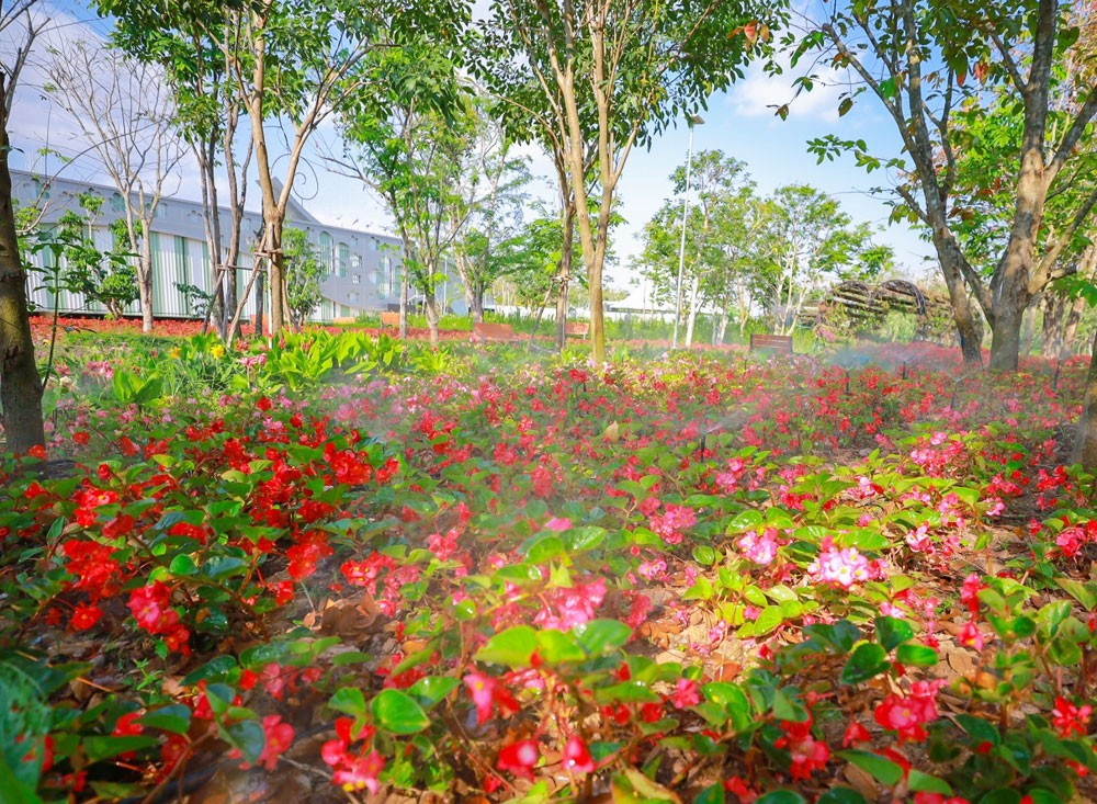 FlowerLand Pattaya