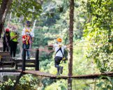 Pong Yaeng Jungle Coaster & Zipline