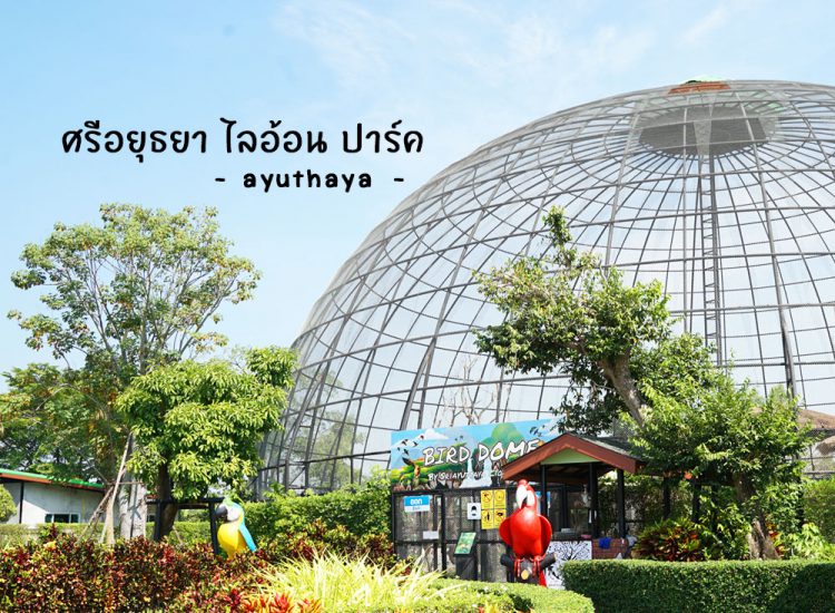 รีวิว ศรีอยุธยา ไลอ้อน ปาร์ค สวนสัตว์เปิดใหม่ใกล้กรุงเทพ จังหวัดอยุธยา Sriayuthaya Lion Park | Go Out ไปเที่ยวกันเถอะ