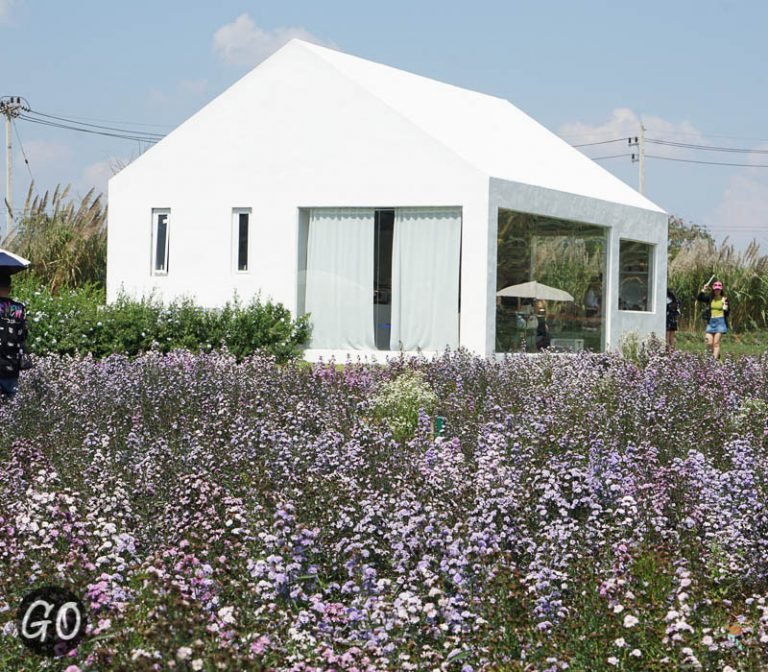 My Image 90