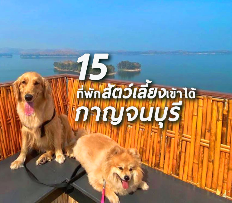 รวม 15 โรงแรมที่พักกาญจนบุรี สุนัข หมา แมว สัตว์เลี้ยงเข้าพักได้ พาเจ้านายไปเที่ยวกัน