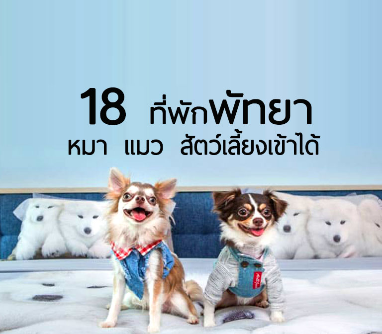 top-pet-friendly-hotel-pattaya