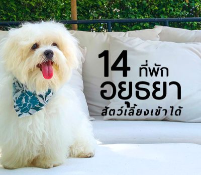 hotels-ayutthaya-pets-friendly