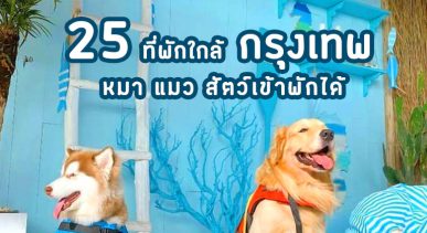pet-friendly-hotels-near-bangkok