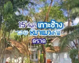 koh-chang-pet-friendly-hotels