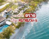 top-hotels-trat-pet-friendly