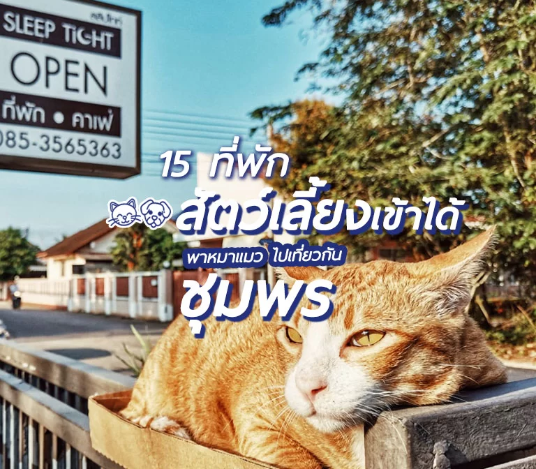 pet-friendly-hotels-chumpon