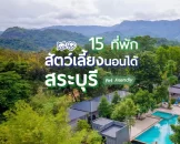 hotels-saraburi-pet-friendly