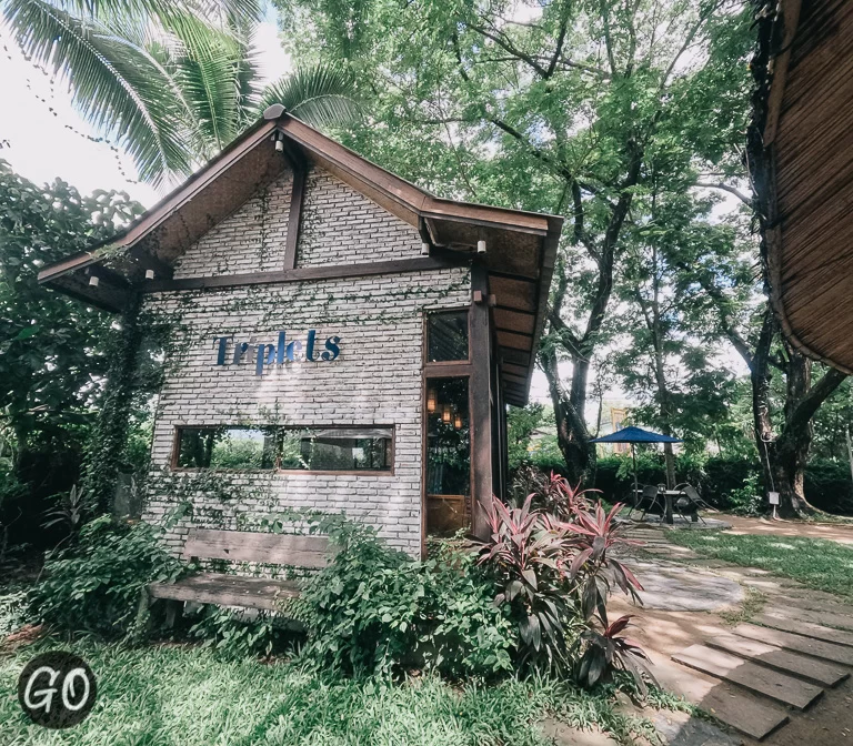 Review image of Triplet Cafe 