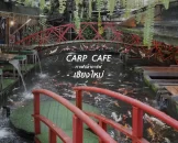 carp-cafe-chiangmai