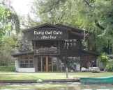 early-owl-cafe