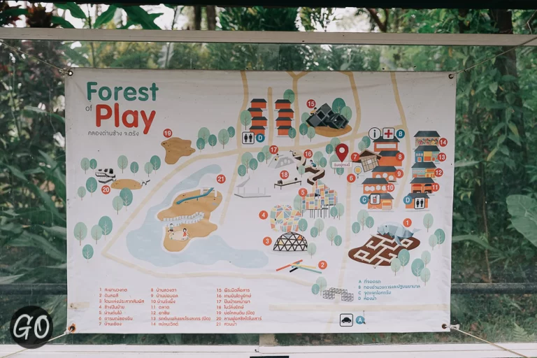 Review image of Forest Of Play Plan Toys 