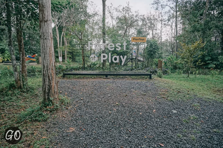 Review image of Forest Of Play Plan Toys 