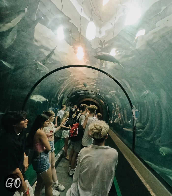 Review image of Phuket Aquarium 