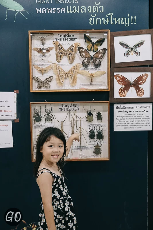 Review image of Siam Insect Zoo 