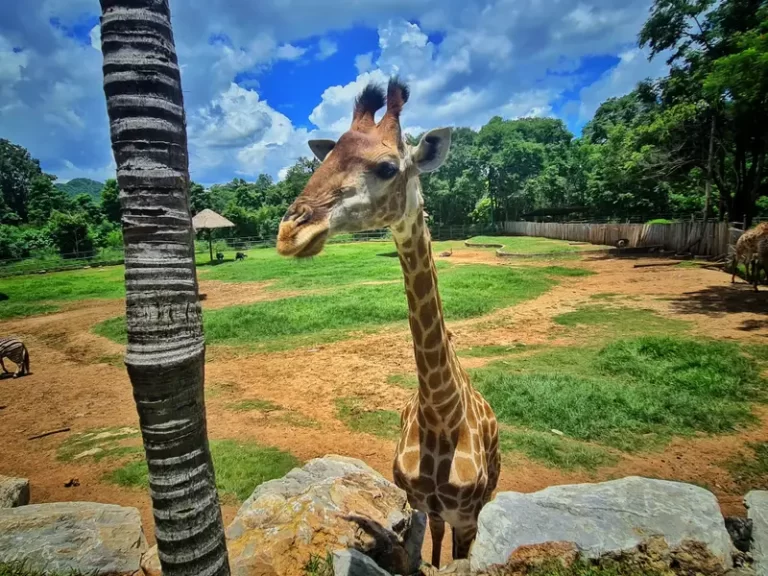 ที่เที่ยวเขาใหญ่เน้นธรรมชาติ